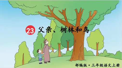 23.《父亲、树林和鸟》课件(共35张PPT).ppt
