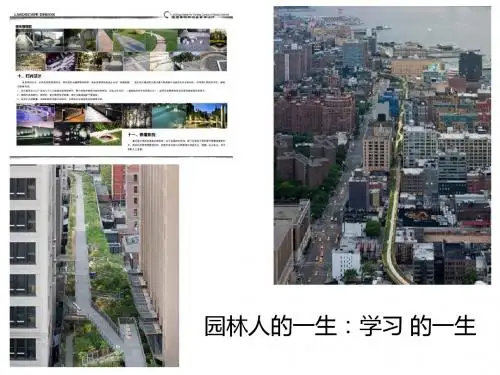 园林施工工艺PPT课件