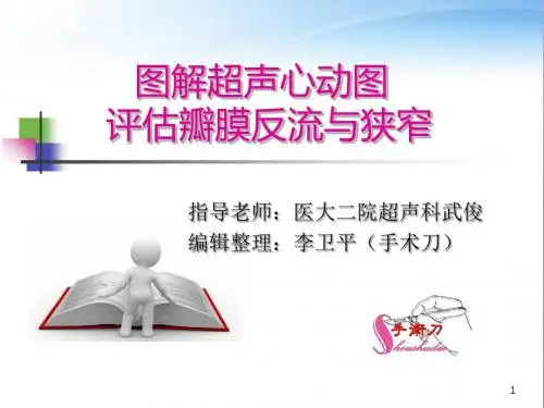图解超声心动图评估瓣膜反流程度