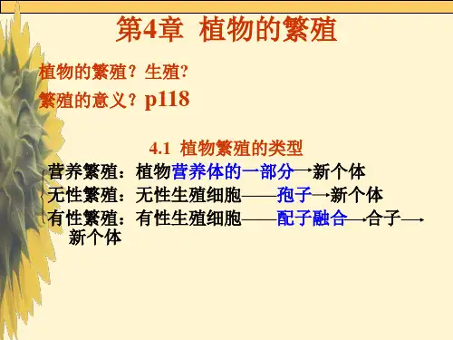 植物的繁殖PPT课件 