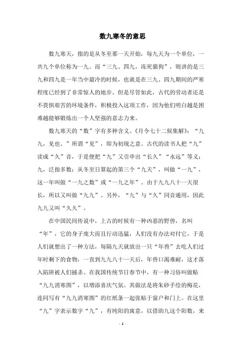 数九寒冬的意思