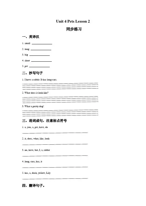 人教新起点三年级英语上册Unit 4 Pets Lesson 2 同步练习3