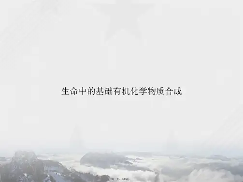 生命中的基础有机化学物质合成讲课文档