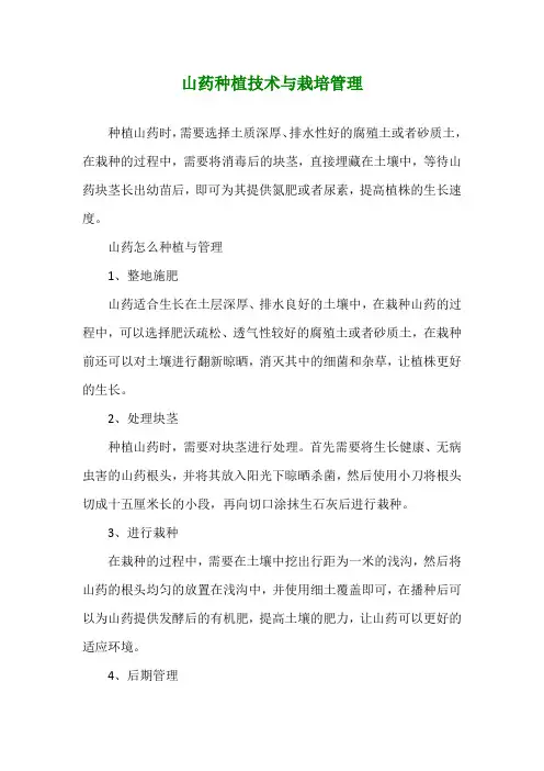 山药种植技术与栽培管理