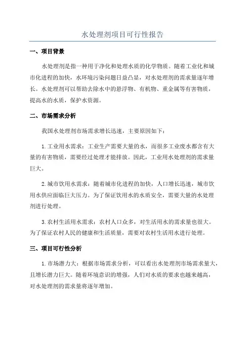水处理剂项目可行性报告