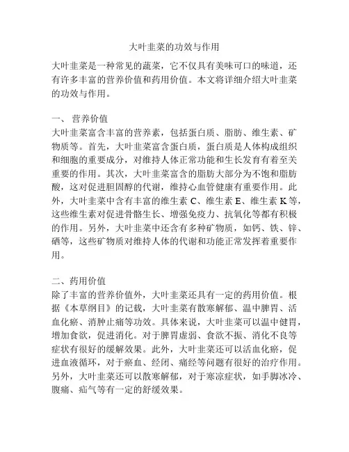 大叶韭菜的功效与作用