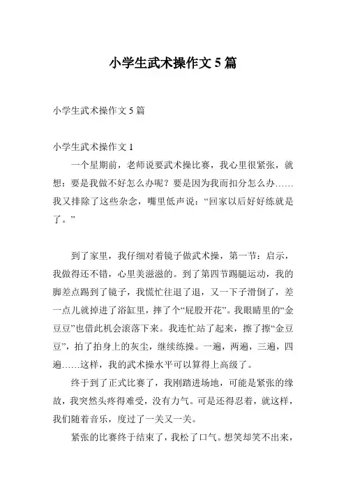 小学生武术操作文5篇
