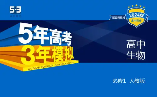 高中生物必修一第3节细胞的衰老和死亡