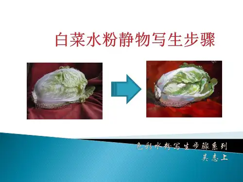 白菜水粉静物写生步骤