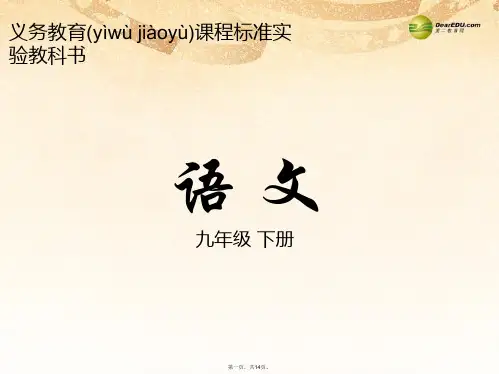 九年级语文下册 2 石缝间的生命课件 语文版