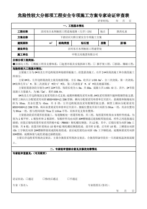 专家评审意见(东庄水利项目主梁方案)