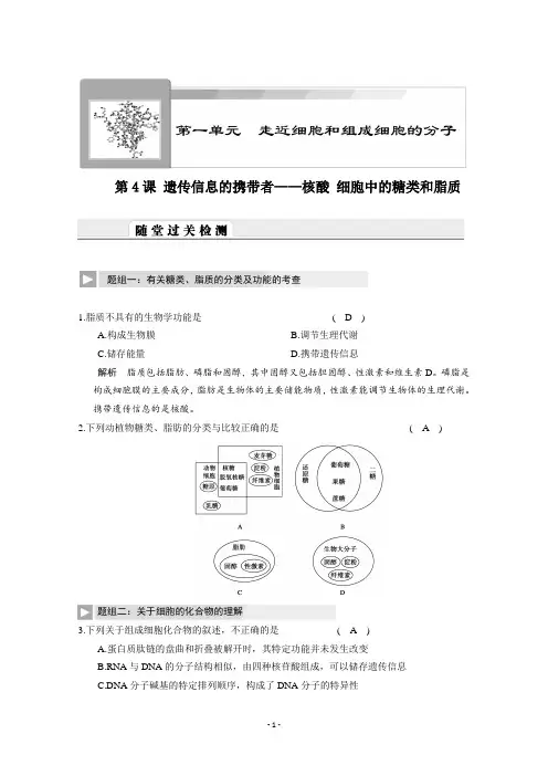 高考生物：核酸 糖类和脂质 检测试题(含答案)
