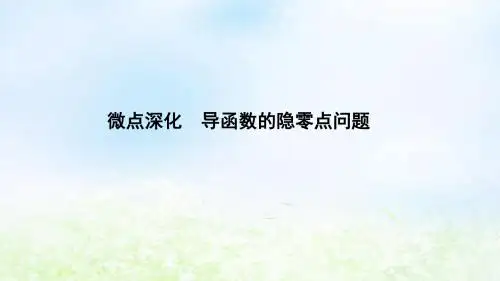 高考数学二轮复习 专题五 函数与导数、不等式 微点深