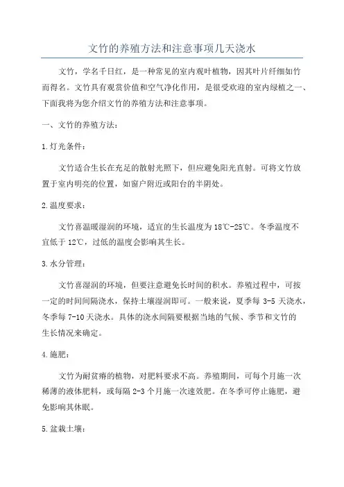 文竹的养殖方法和注意事项几天浇水