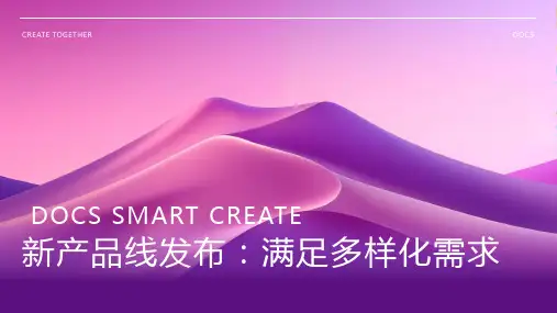 新产品线发布,满足多样化需求 - 新产品线发布会PPT