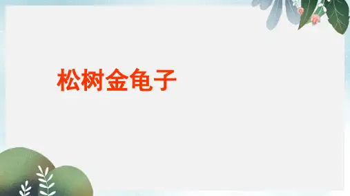 七年级语文下册第四单元十六松树金龟子课件2苏教版