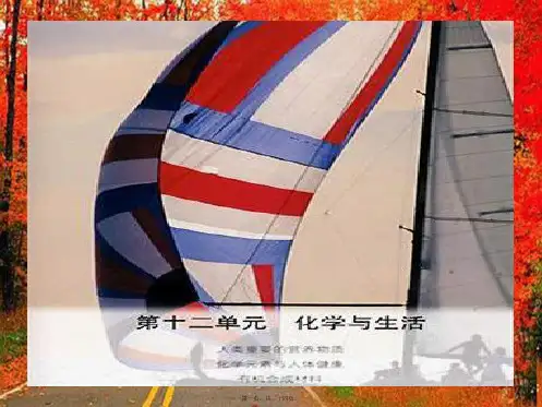 九年级化学《化学与生活》课件