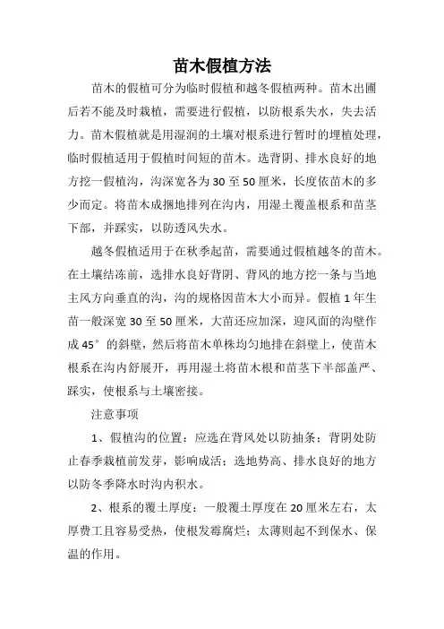 苗木的假植技术要点