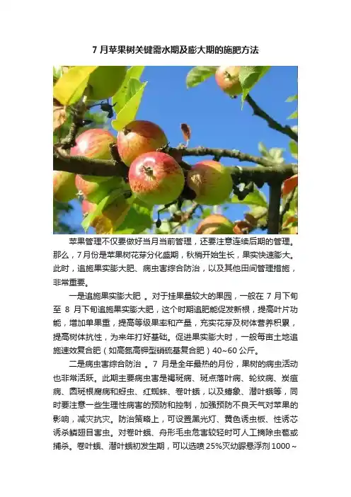 7月苹果树关键需水期及膨大期的施肥方法