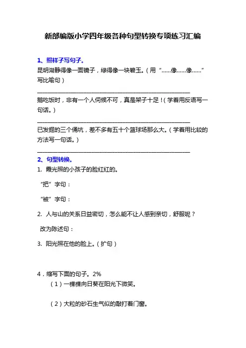 新部编版小学语文四年级各种句型转换专项练习汇编
