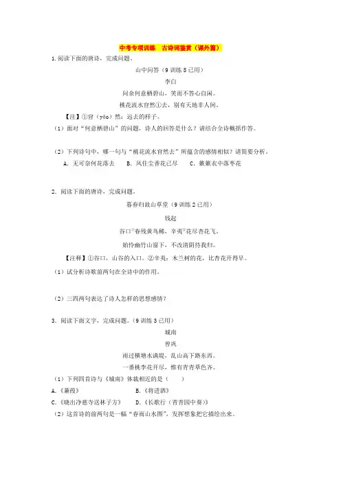 中考专项训练古诗词鉴赏(课外篇)
