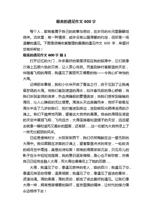 最美的遇见作文600字
