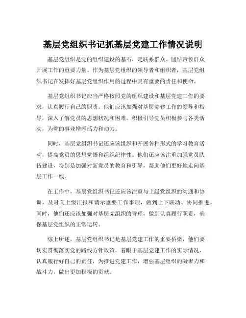 基层党组织书记抓基层党建工作情况说明