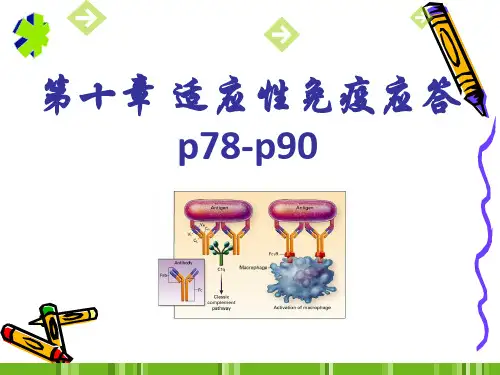 第十章 适应性免疫