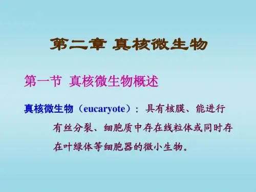 第二章 真核微生物