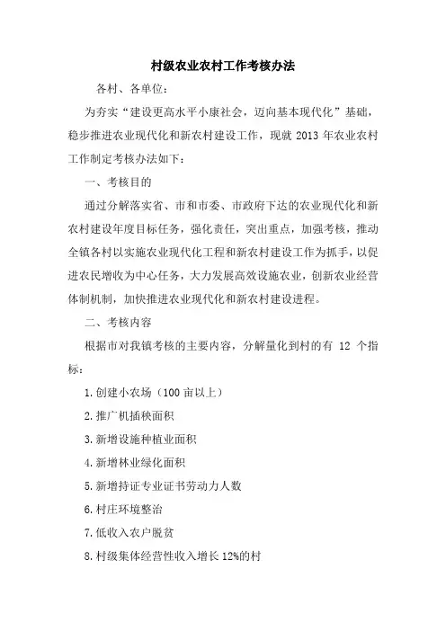 村级农业农村工作考核办法