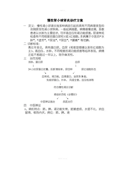 肾内科中医单病种诊疗规范