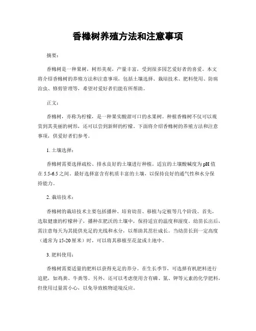 香橼树养殖方法和注意事项