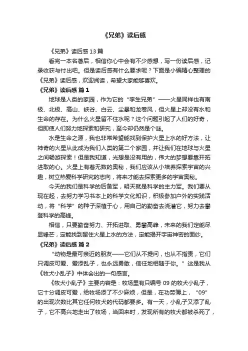 《兄弟》读后感