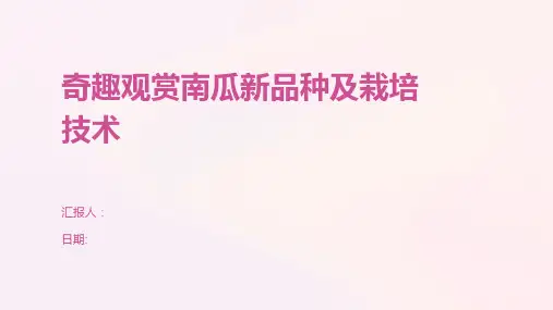 奇趣观赏南瓜新品种及栽培技术