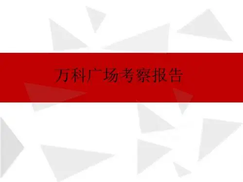 KKmall市场考察研究报告
