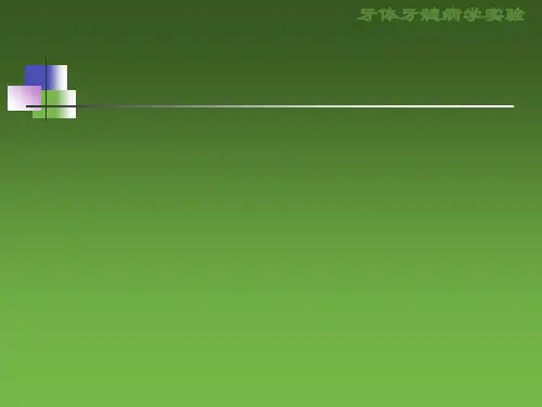 RCT根管治疗