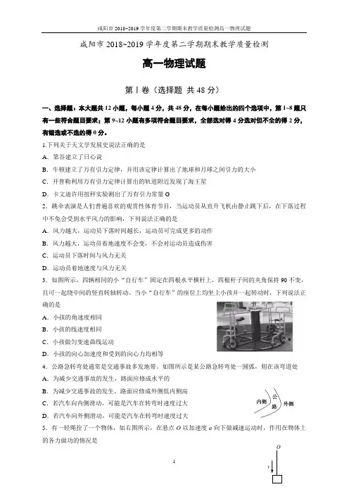 咸阳市2018~2019学年度第二学期期末教学质量检测高一物理试题