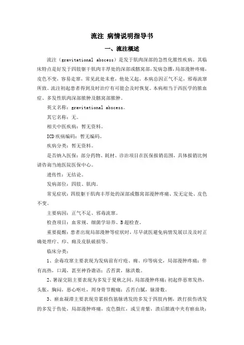 流注 病情说明指导书