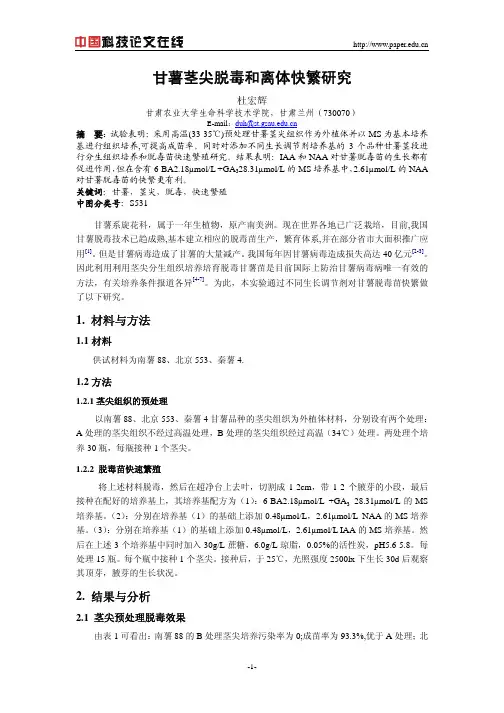 甘薯茎尖脱毒和离体快繁研究