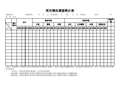 受灾情况调查统计表