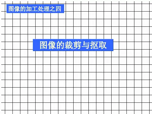 八年级信息技术      图像的裁剪与抠取