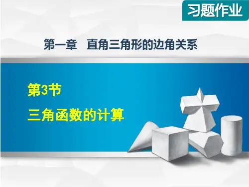 北师大版初三数学下册《1.3三角函数的计算》习题课件(附答案)
