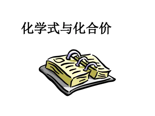 人教版九年级化学上册4.4化学式与化合价课件 (共45张PPT)