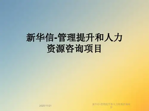 新华信-管理提升和人力资源咨询项目