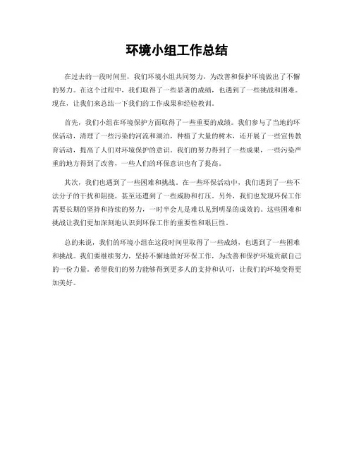 环境小组工作总结