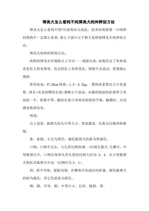 博美犬怎么看纯不纯博美犬纯种辨别方法
