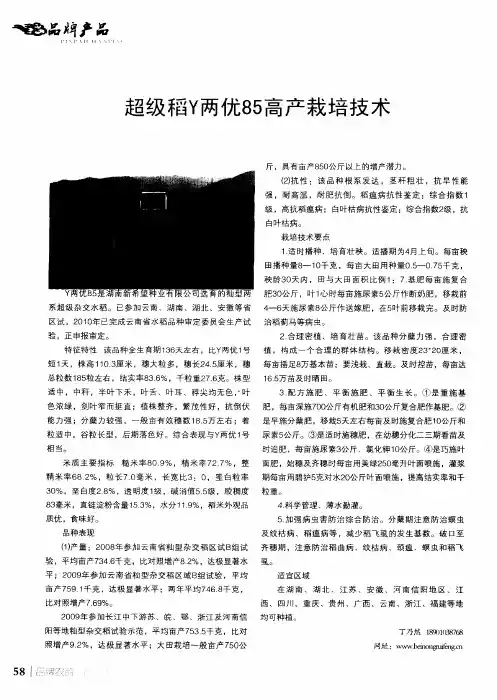 超级稻Y两优85高产栽培技术