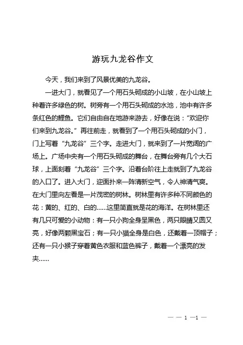 游玩九龙谷作文