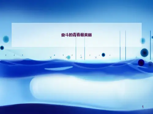 奋斗的青春最美丽 (2)ppt课件
