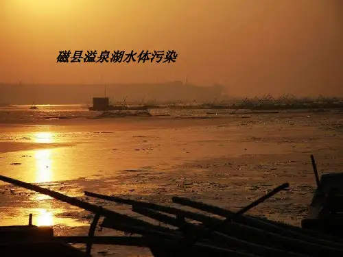 2019-2020学年人教版高中地理选修6课件：2.1水污染及其成因教学课件  (共25张PPT)